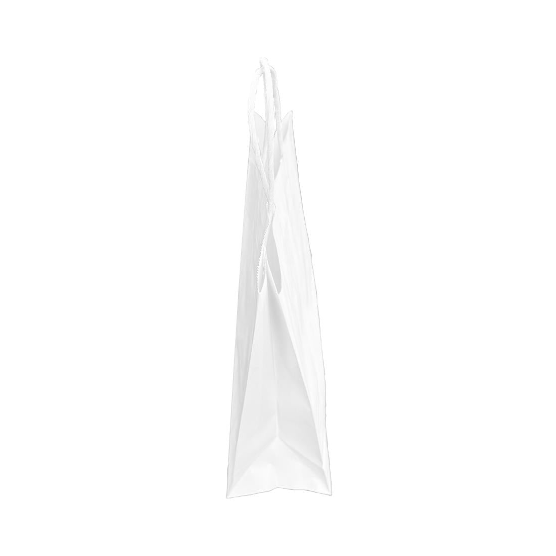Fiesta Recyclable Twist Handle White Paper Bags Small (250 Pack) - HY761
