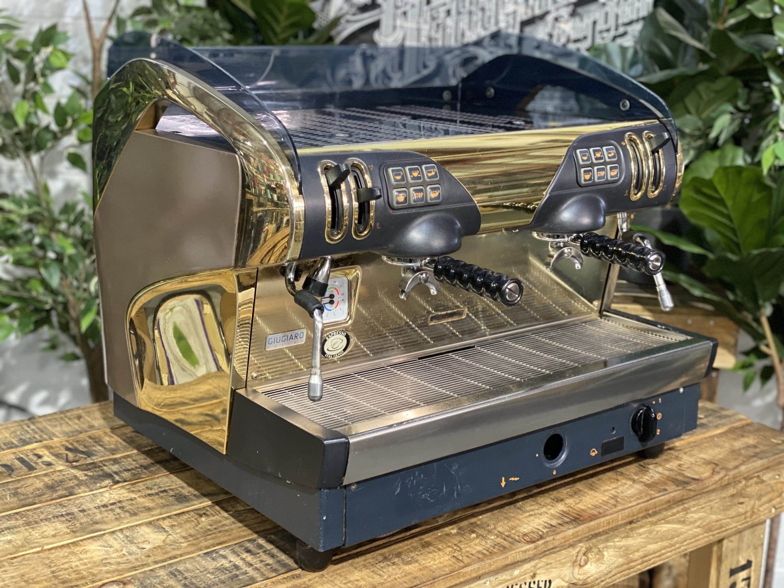 Faema Smart 2 Group Gold & Brown - 28950