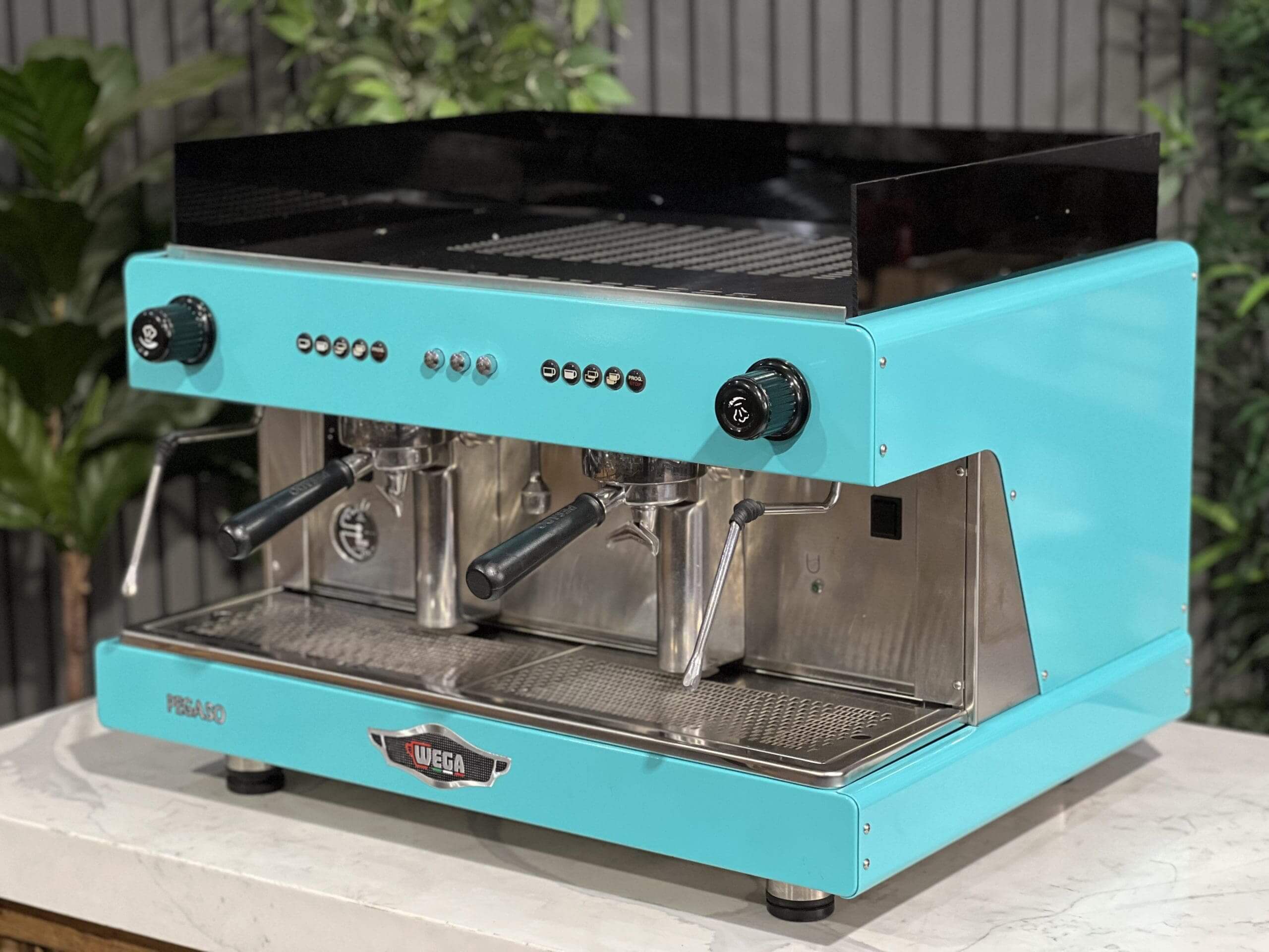 Wega Pegaso EVD - 2 Group Commercial Espresso Machine - Aqua