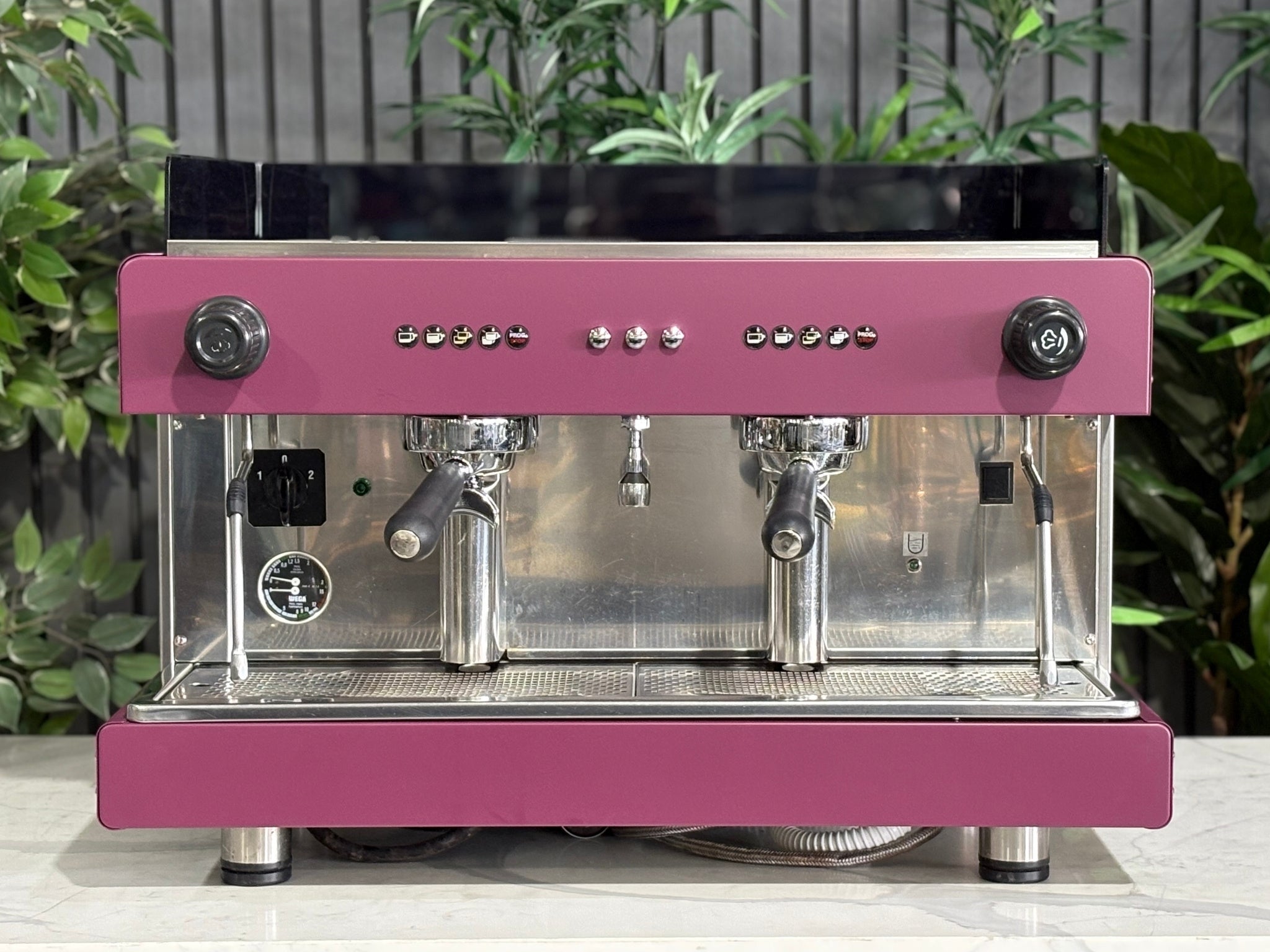 Wega Pegaso EVD Deep - 2 Group Commercial Espresso Machine - Pink