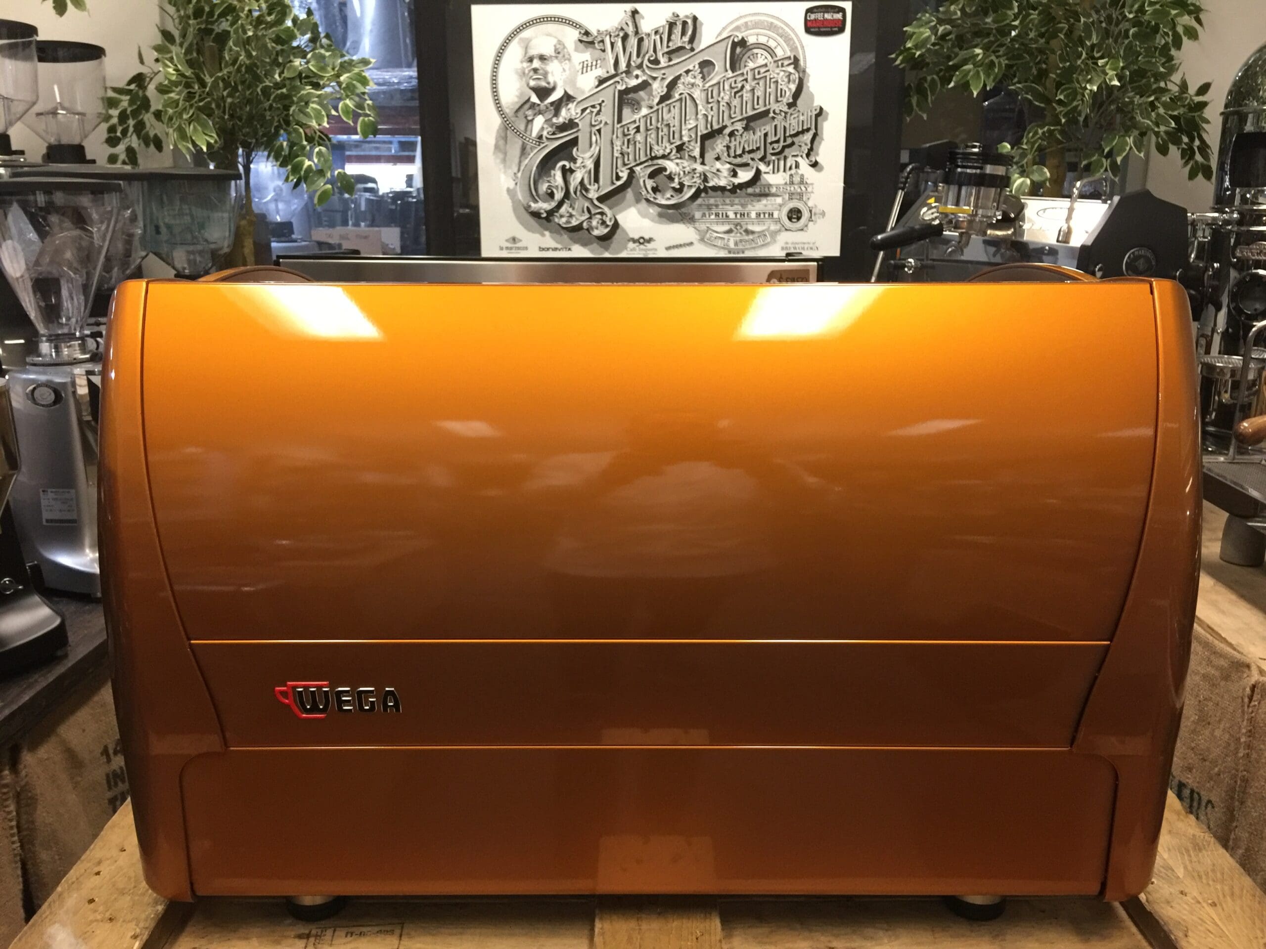 Wega Polaris 2 Group Low Cup Custom Bronze - 17715