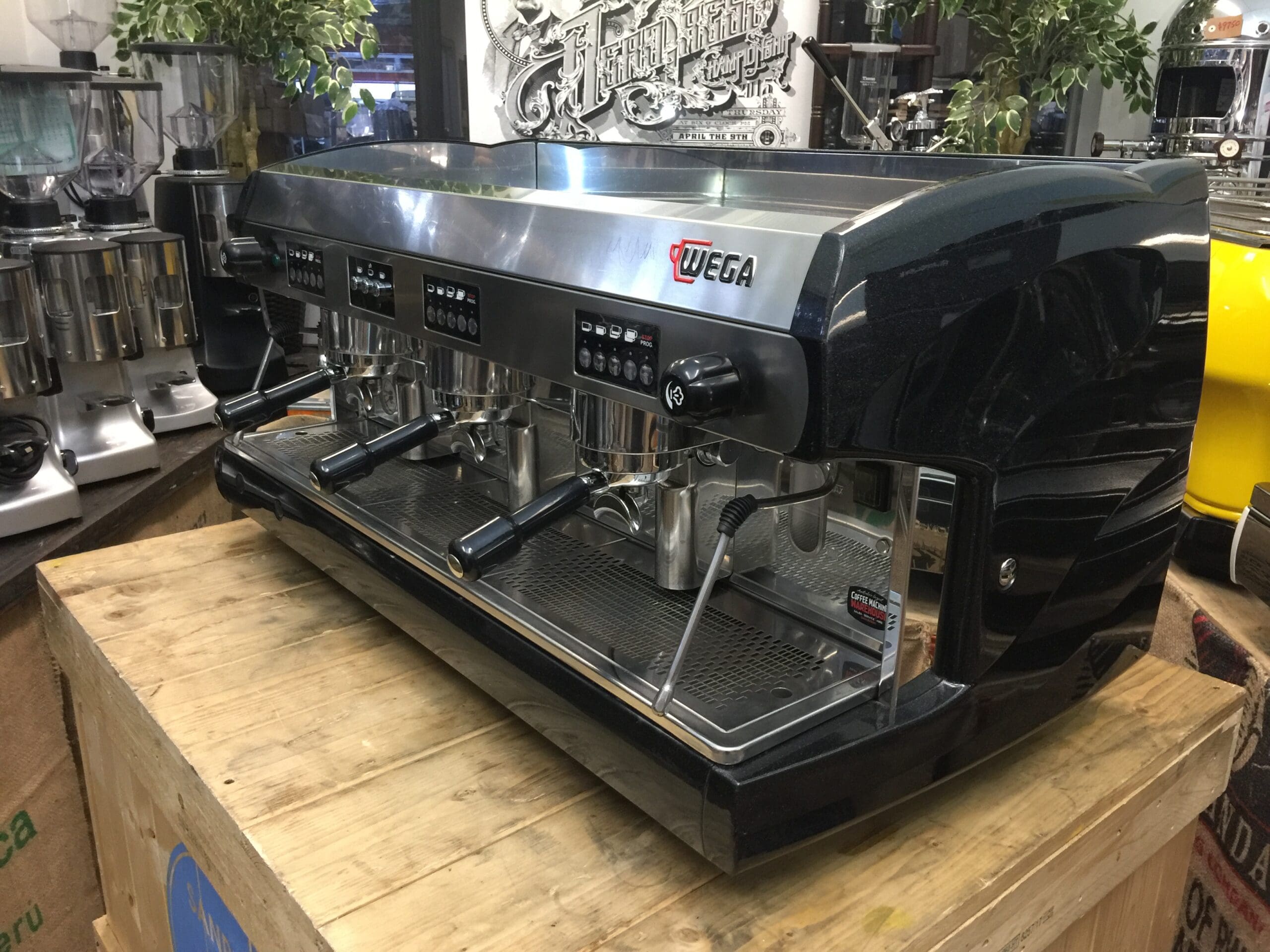 Wega Polaris 3 Group Low Cup Metallic Black - 17627