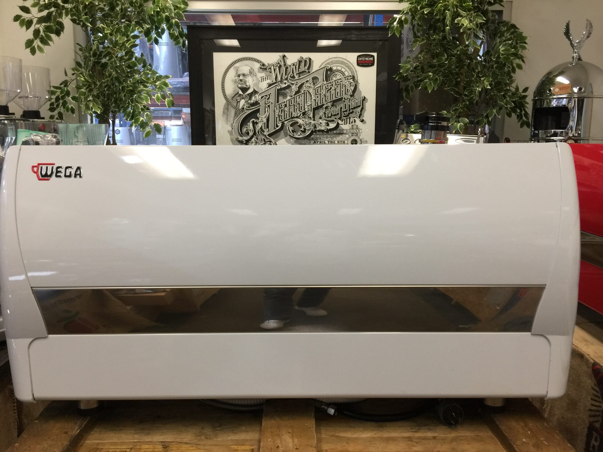 Wega Polaris 3 Group Low Cup White - 17575