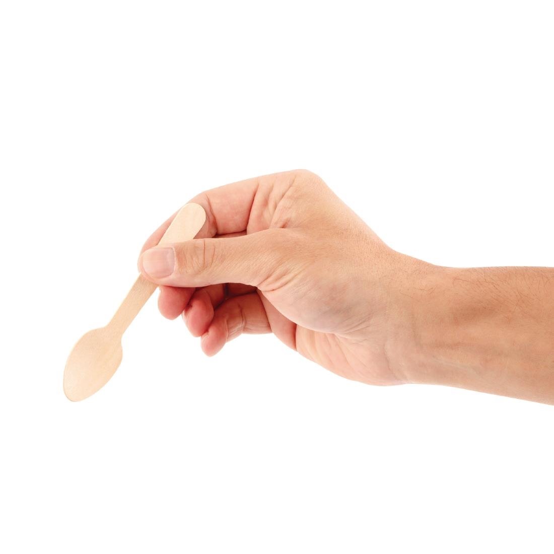 Fiesta Compostable Biodegradable Wooden Teaspoons (Pack of 100) - DK398