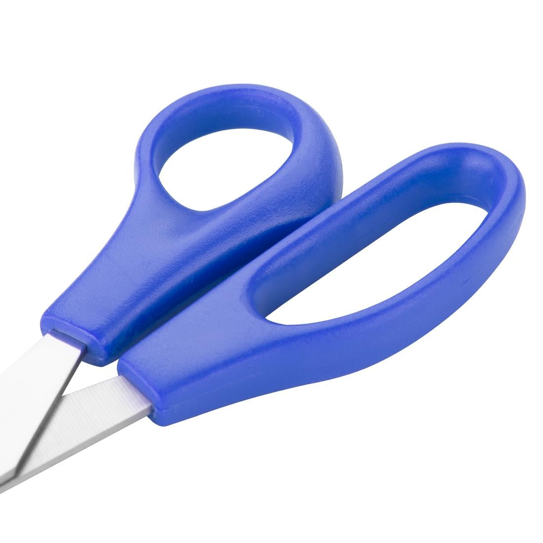 Hygiplas Colour Coded Blue Scissors - DM037