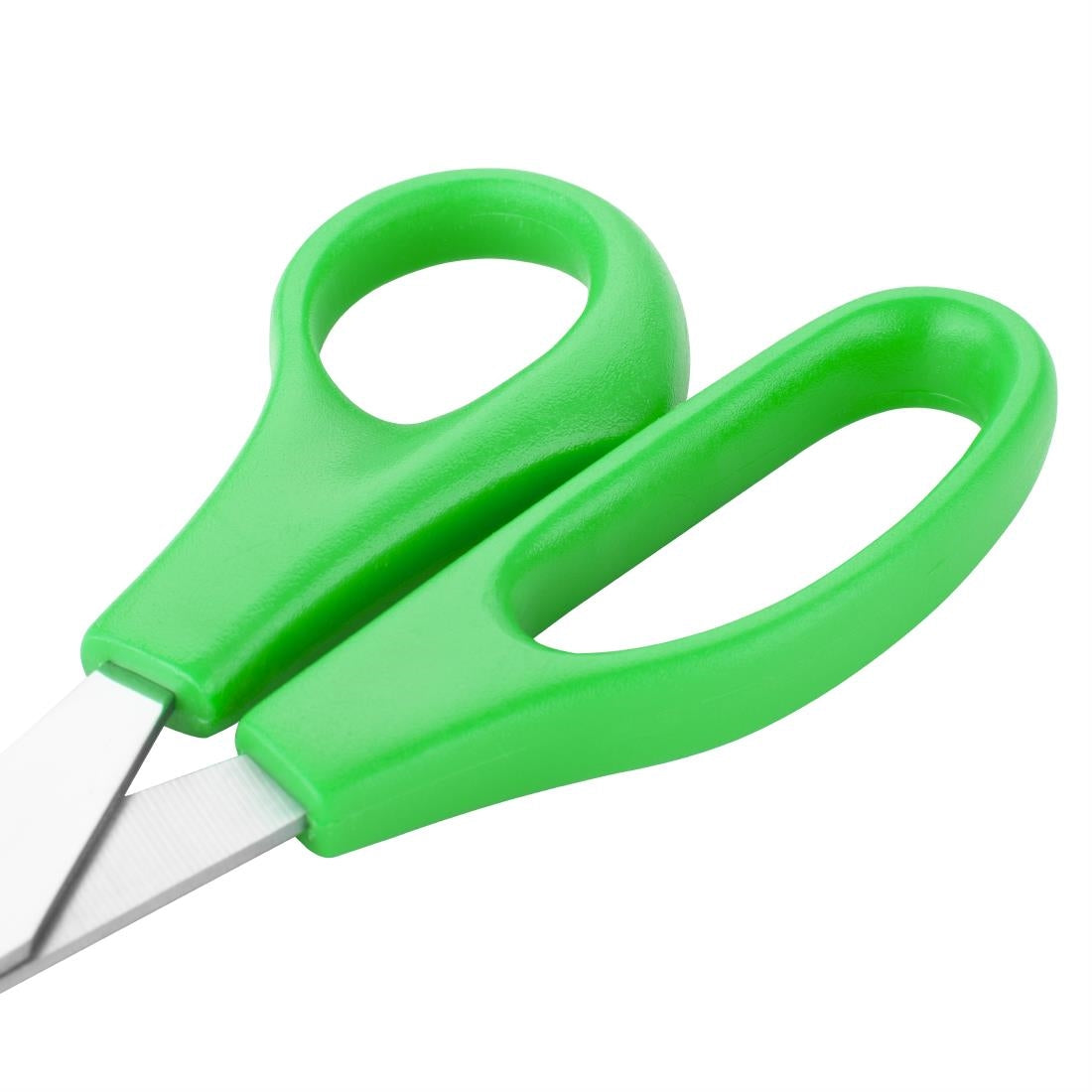 Hygiplas Colour Coded Green Scissors - DM039