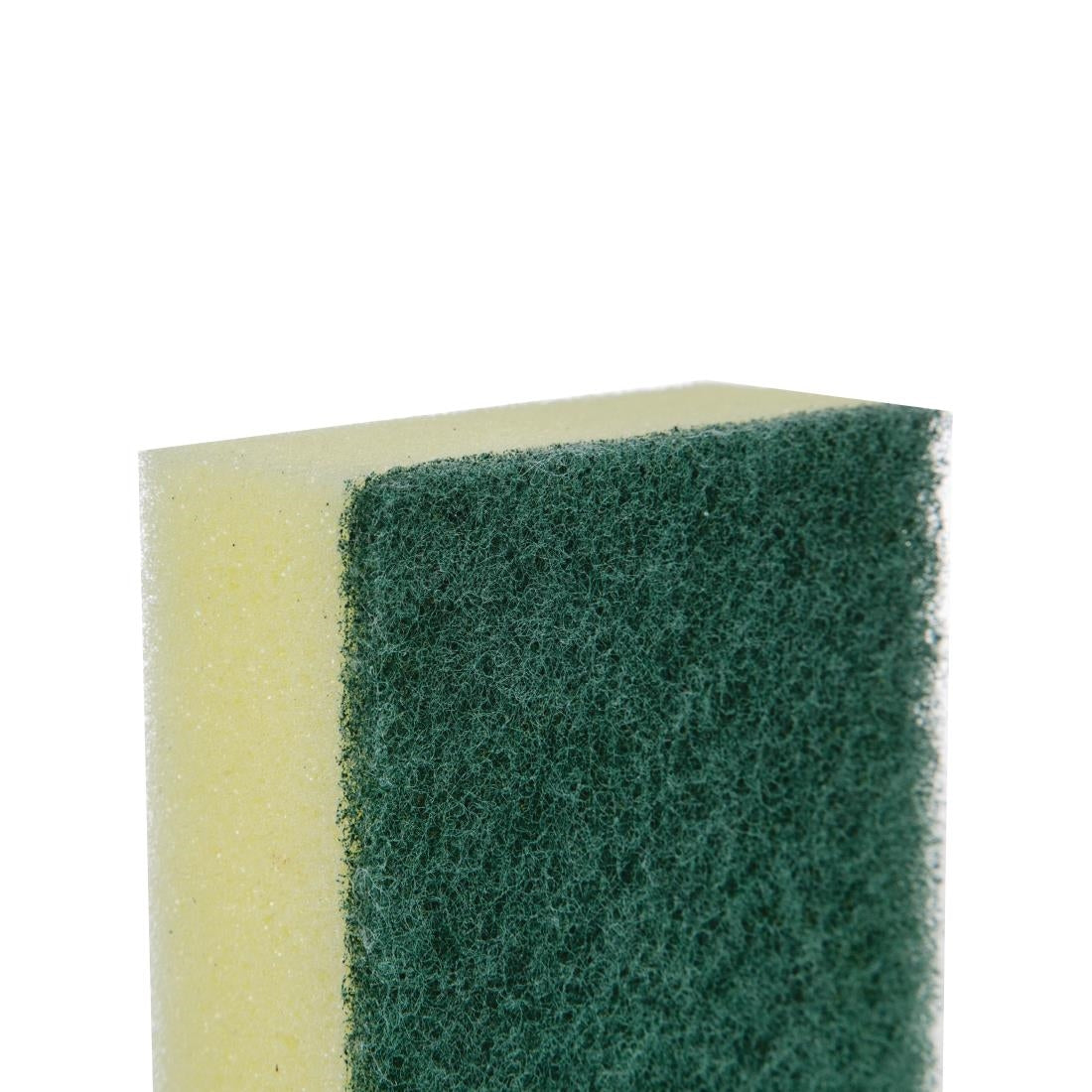 Jantex Sponge Scourer - F960