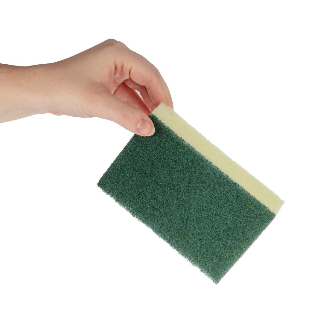 Jantex Sponge Scourer - F960