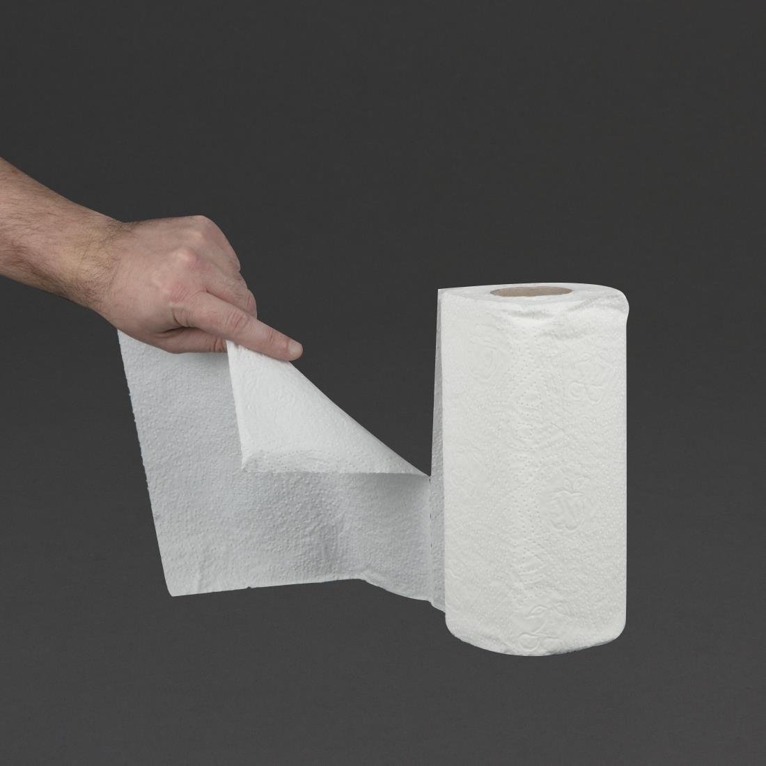 Jantex 2-Ply Paper Towel Roll (Pack of 24) - GH065