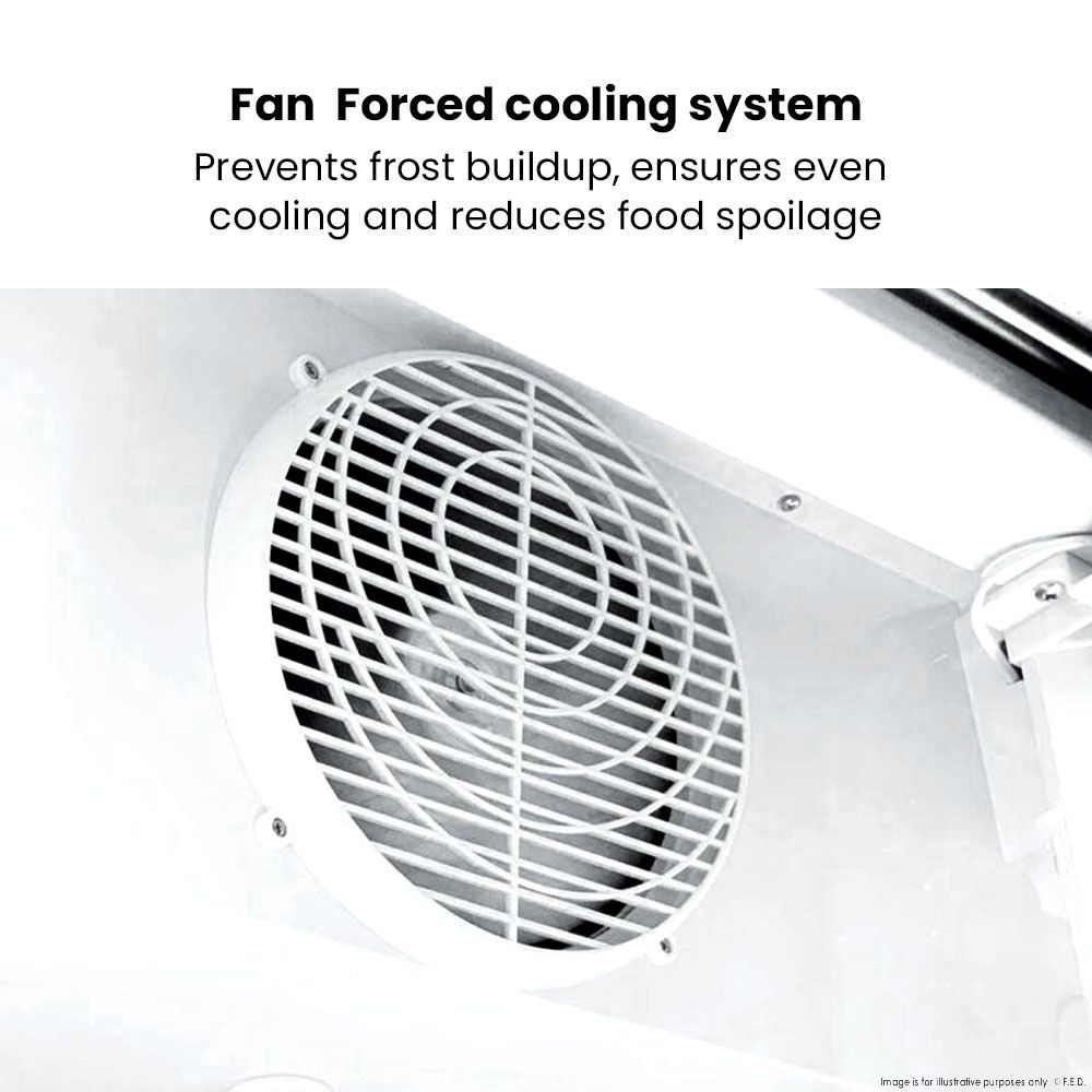 Thermaster Double Glass Door Colourbond Upright Drink Fridge LG-580BP