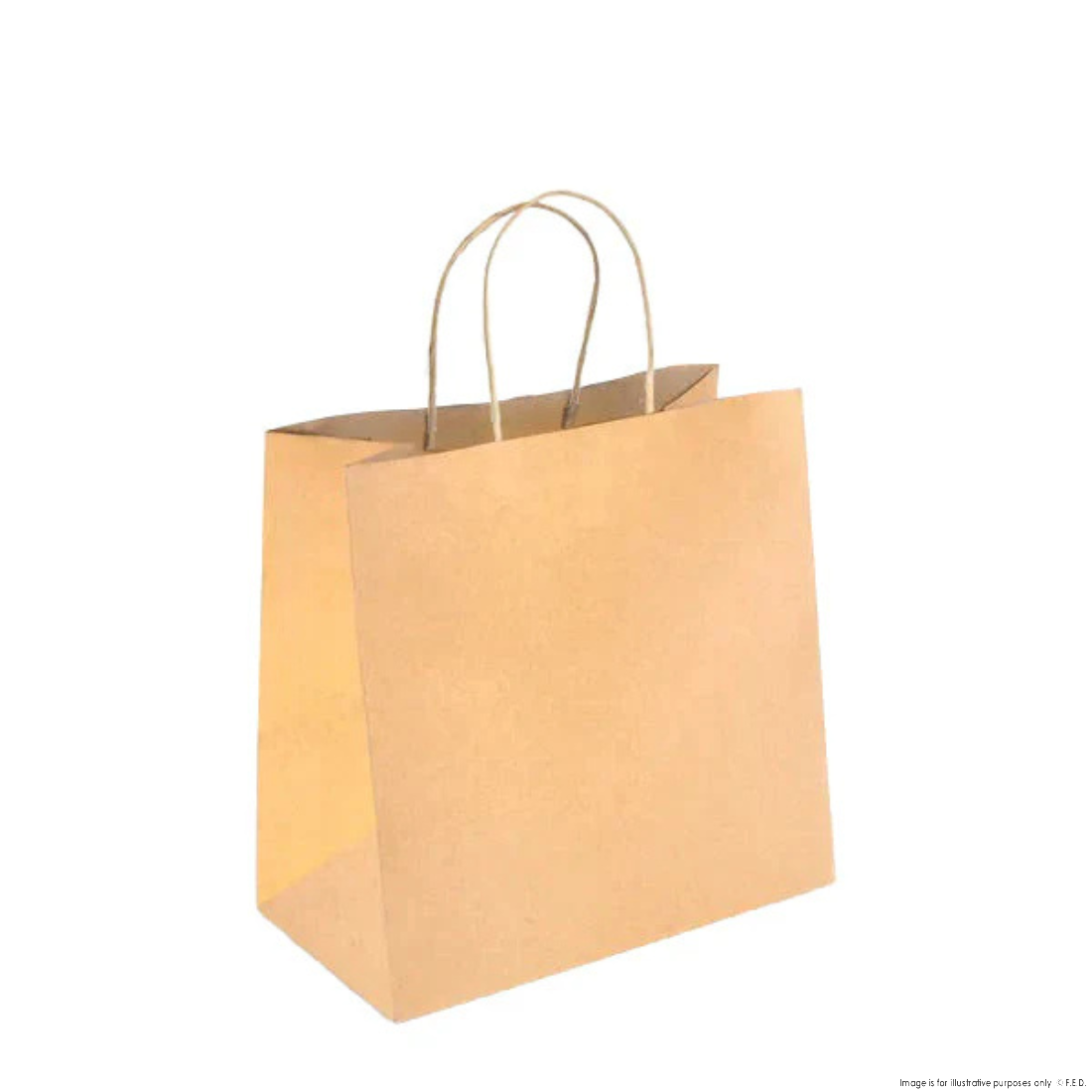 PakMax Small Twist Handle Kraft Paper Bags - RPFR-120-S