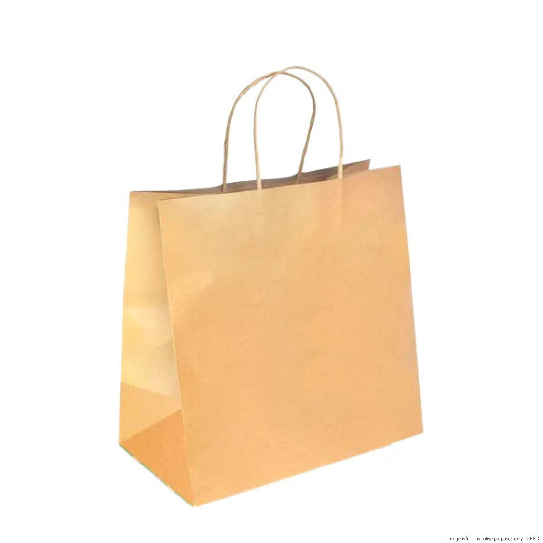 PakMax Large Twist Handle Kraft Paper Bags - RPRR-120-L