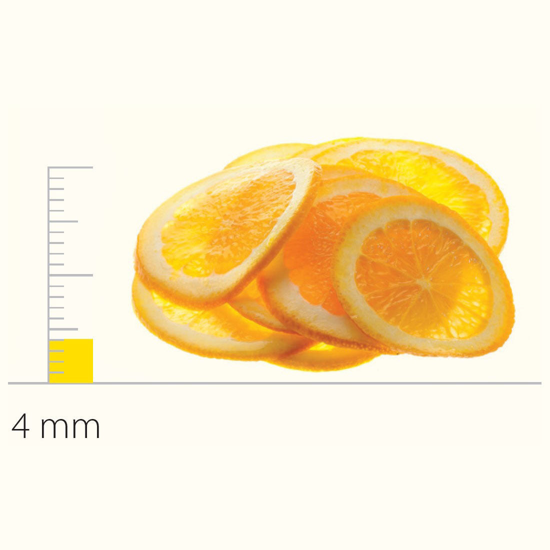 F.E.D Stainless Steel Slicing Disc With S-Blades 4 Mm DS650085