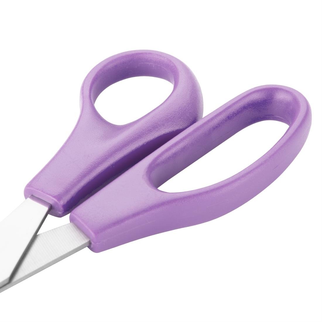 Hygiplas Scissors Purple 205mm - FX128