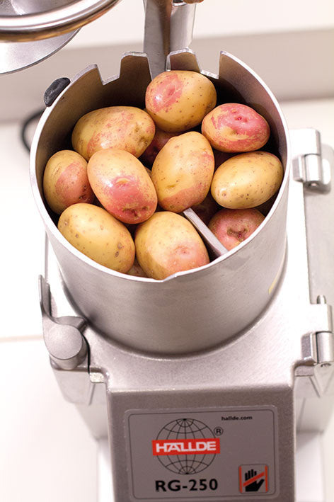 Hallde Vegetable Preparation Machine RG-250 - RG-250