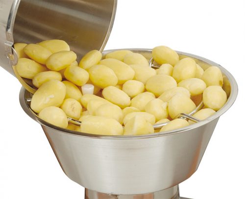 Hallde Vegetable Preparation Machine RG-350 - RG-350