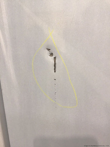 2NDs: TROPICAL Thermaster 2 x ½ door SS Freezer SUF500