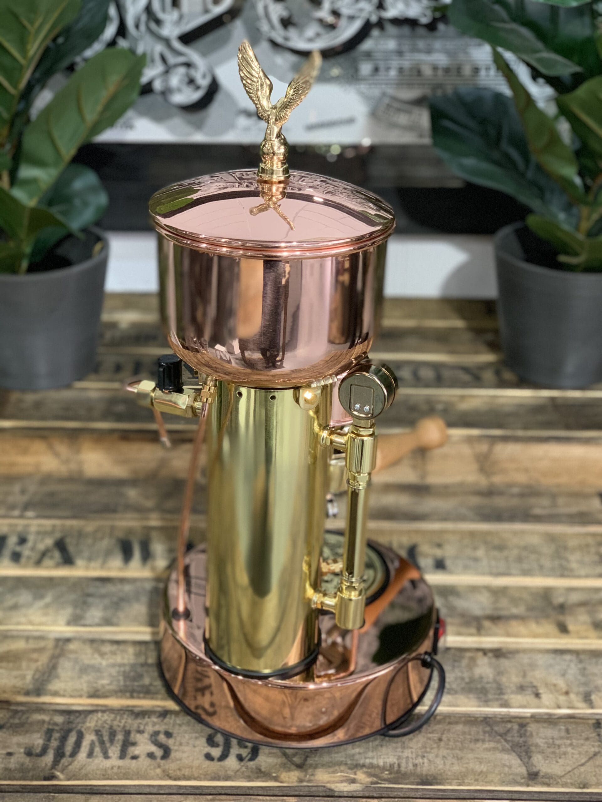 Elektra Micro Casa Semi Automatica & Brass - 1 Group Commercial Espresso Machine - Gold