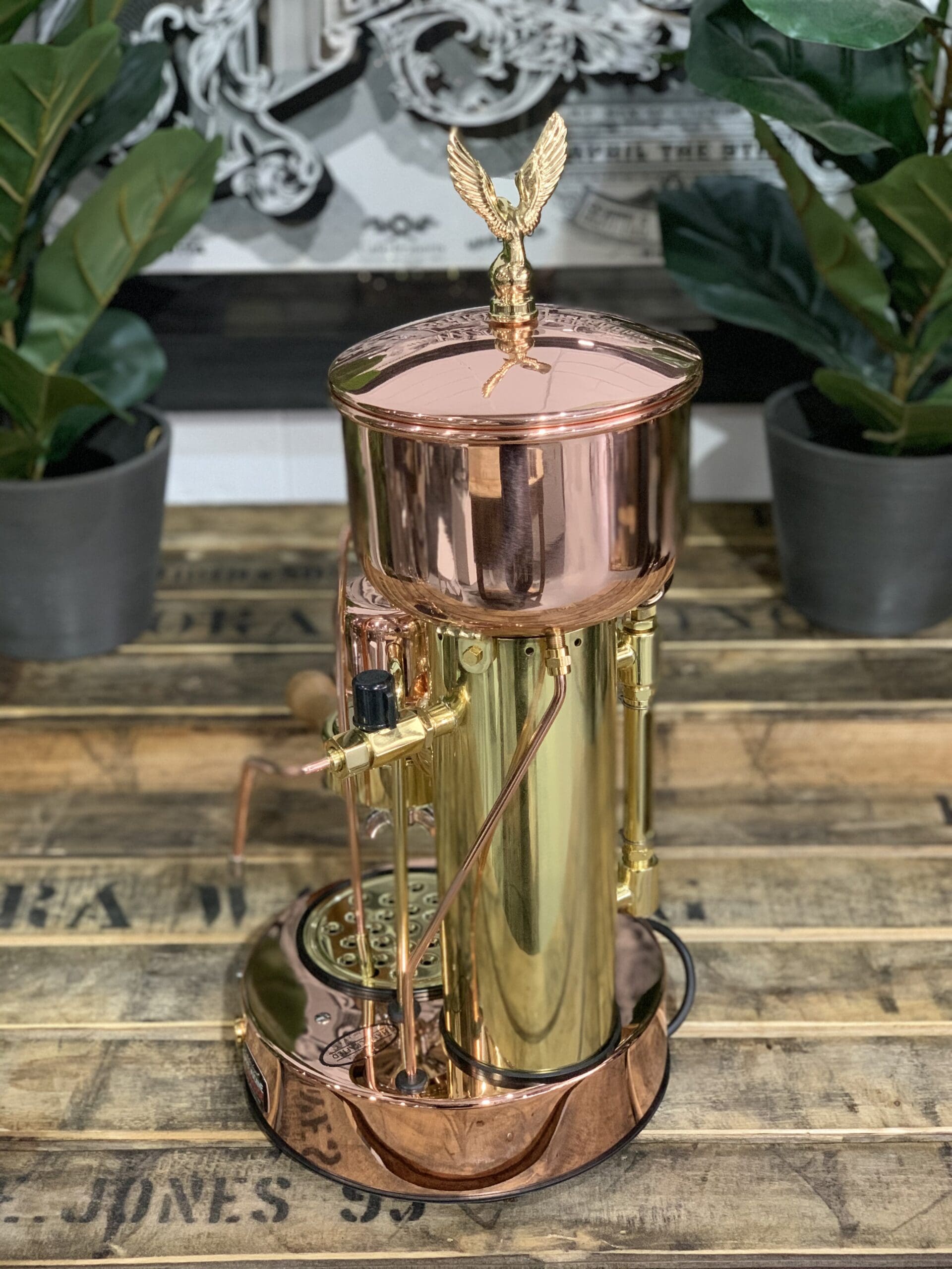 Elektra Micro Casa Semi Automatica & Brass - 1 Group Commercial Espresso Machine - Gold