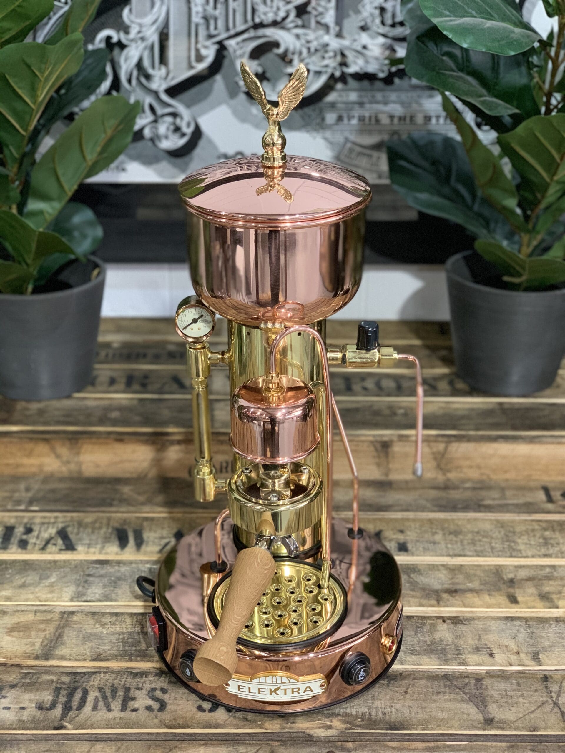 Elektra Micro Casa Semi Automatica & Brass - 1 Group Commercial Espresso Machine - Gold