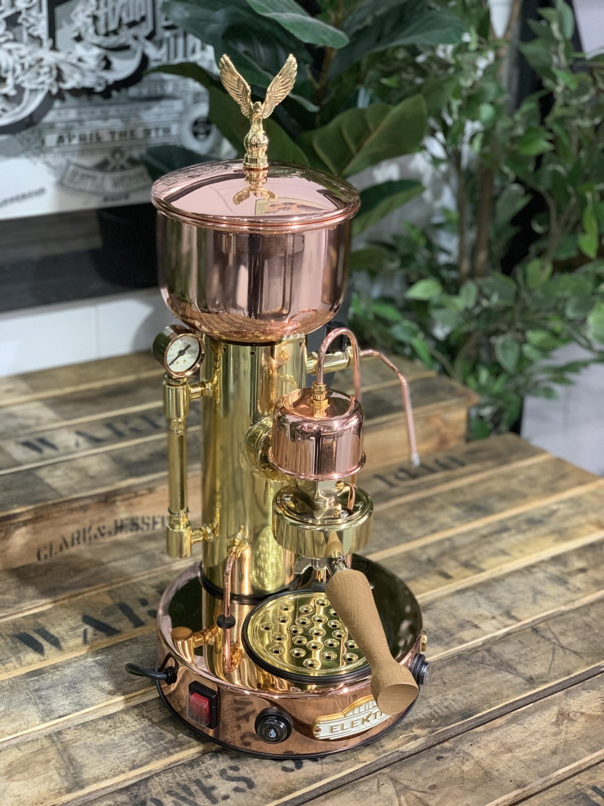 Elektra Micro Casa Semi Automatica & Brass - 1 Group Commercial Espresso Machine - Gold