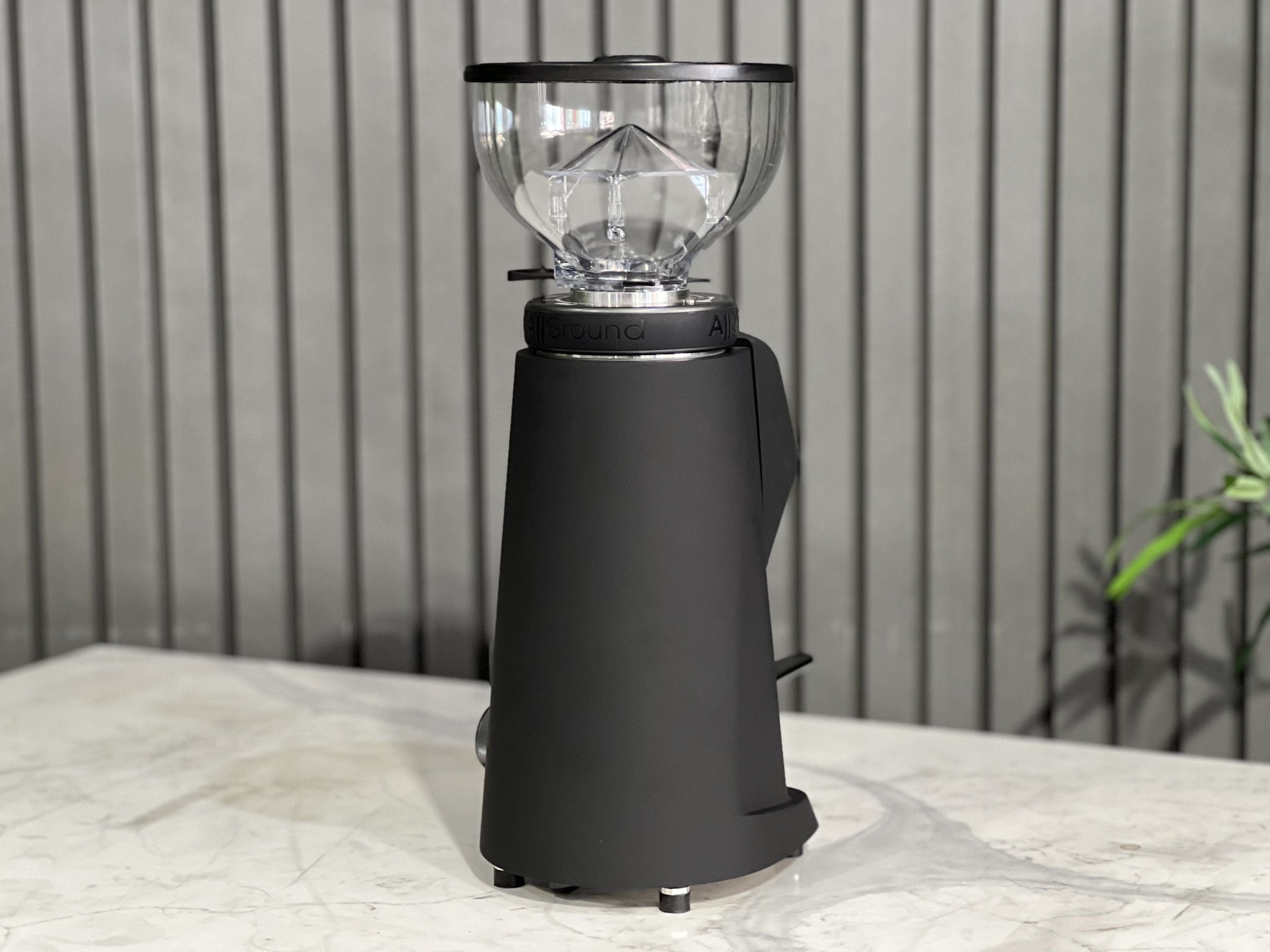 Fiorenzato All Ground Sense - Coffee Grinder