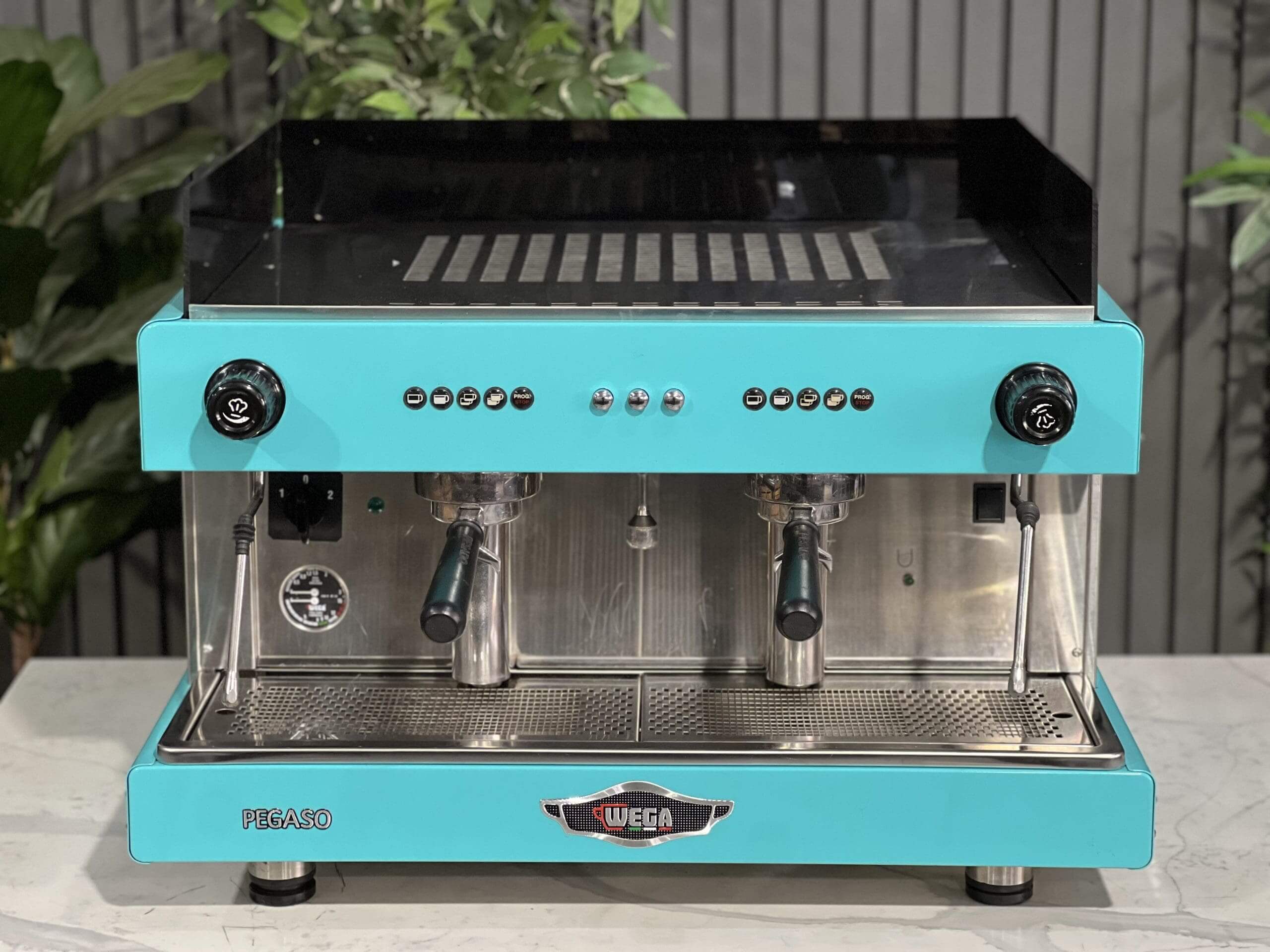 Wega Pegaso EVD - 2 Group Commercial Espresso Machine - Aqua