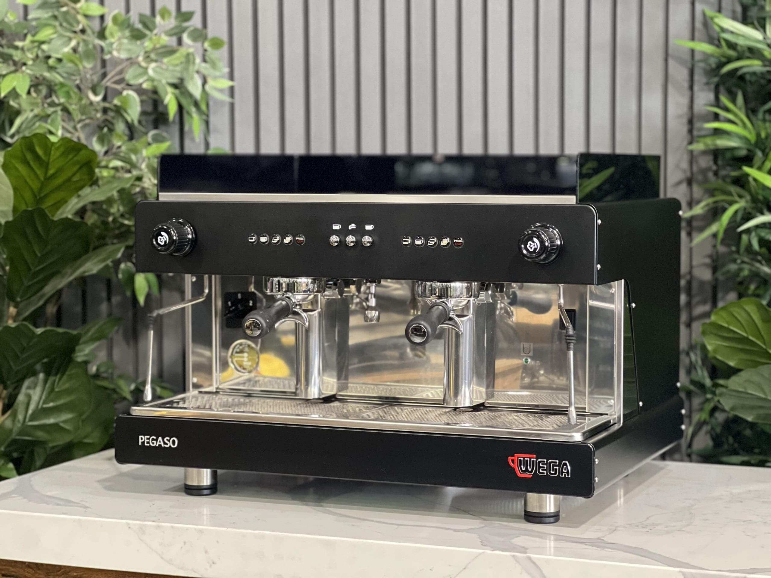 Wega Pegaso EVD - 2 Group Commercial Espresso Machine - Black