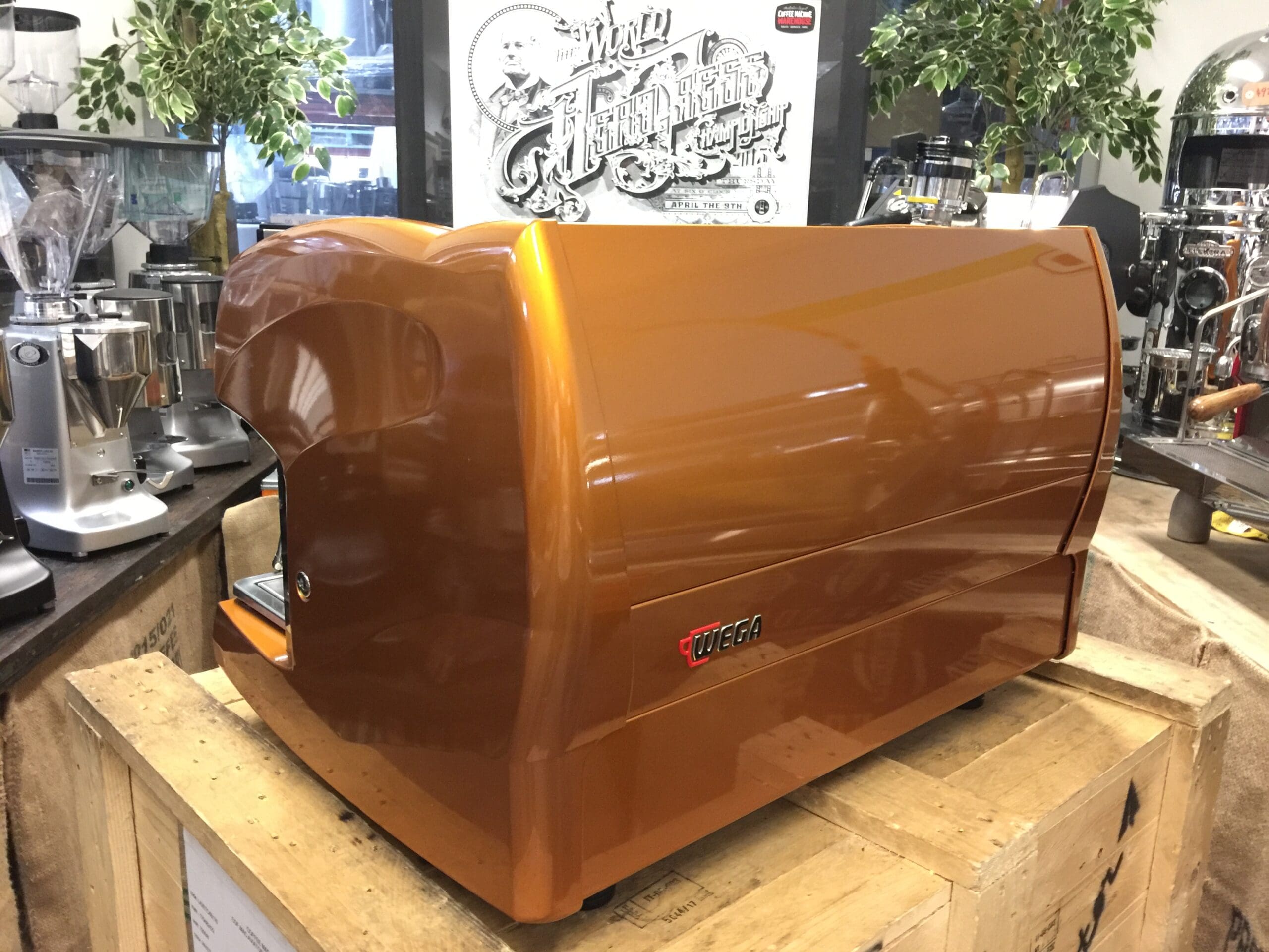 Wega Polaris 2 Group Low Cup Custom Bronze