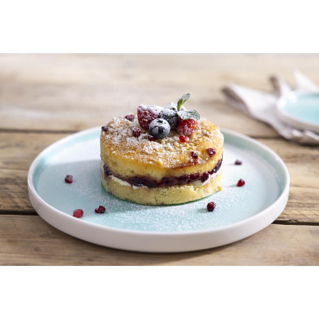 Olympia Fondant Plate Mint - 270mm (4 Pack) - CU434