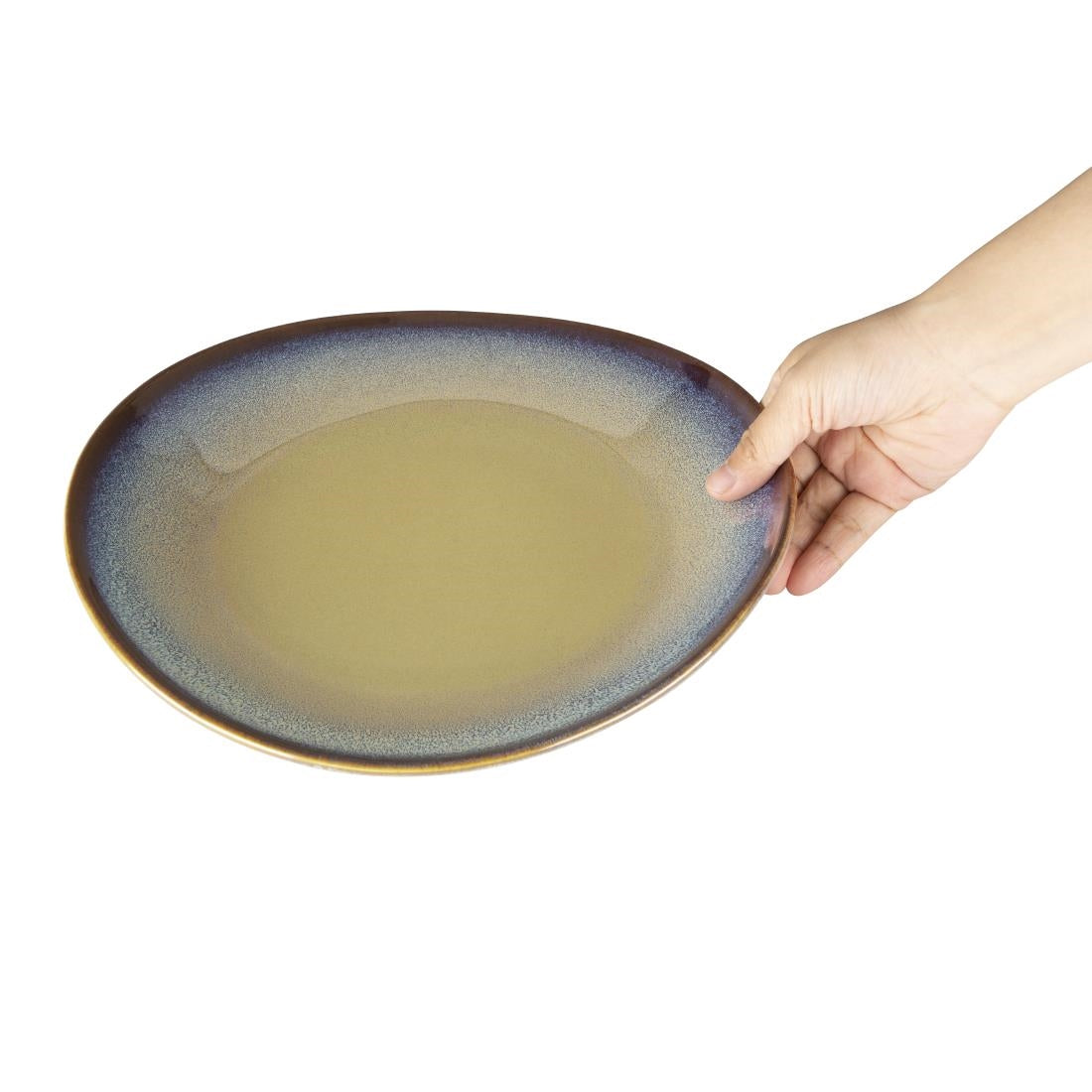 Olympia Birch Aubergine Coupe Plates - 270mm (6 Pack) - DZ697