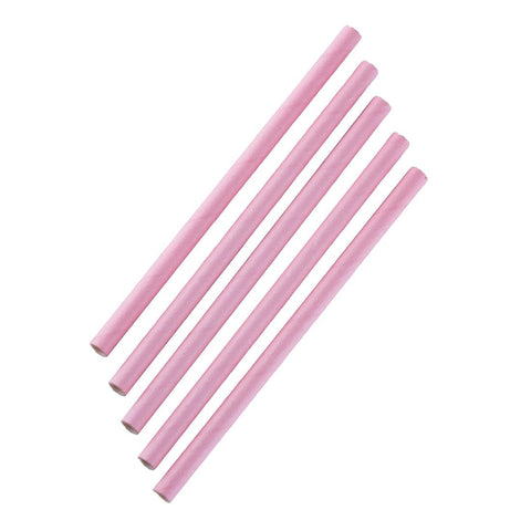 Fiesta Compostable Paper Smoothie Straws Pink (Pack of 250) - FB149