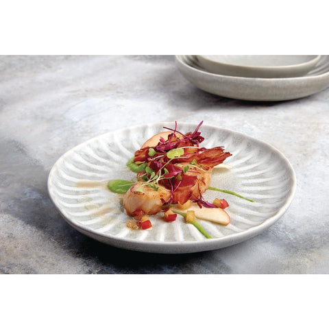 Olympia Corallite Plates Concrete Grey 205mm (6 Pack) - FB955