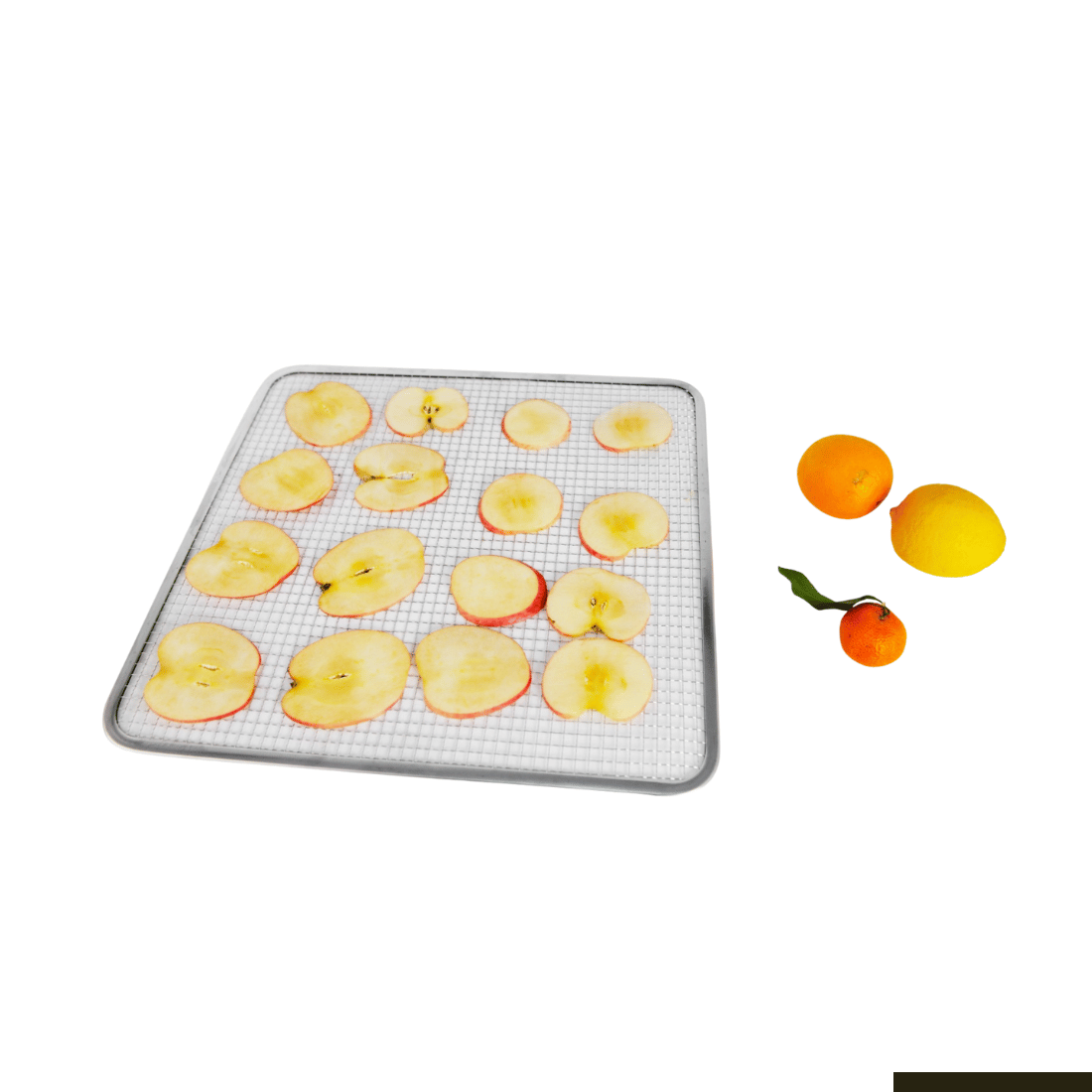 Benchstar Food Dehydrator with 16 trays - FD-16HB