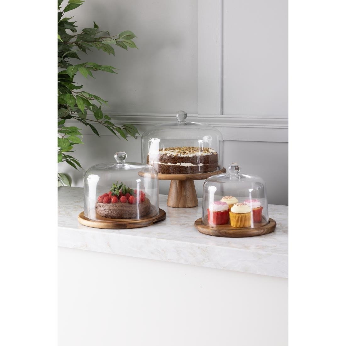 Olympia Glass Dome 240x190mm - HW799