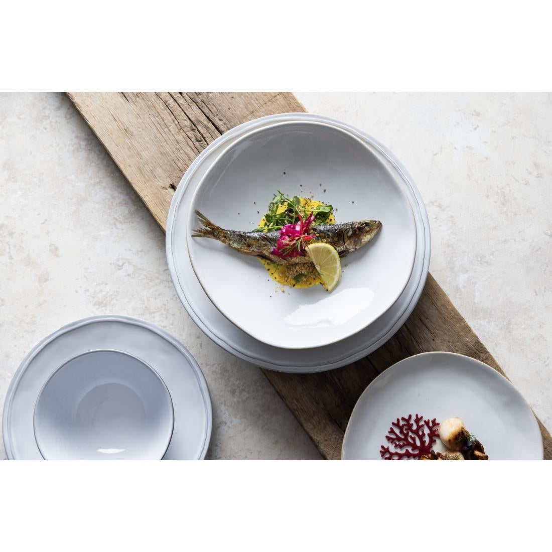 Olympia Raw Coupe Plates 220mm (6 Pack) - FC597