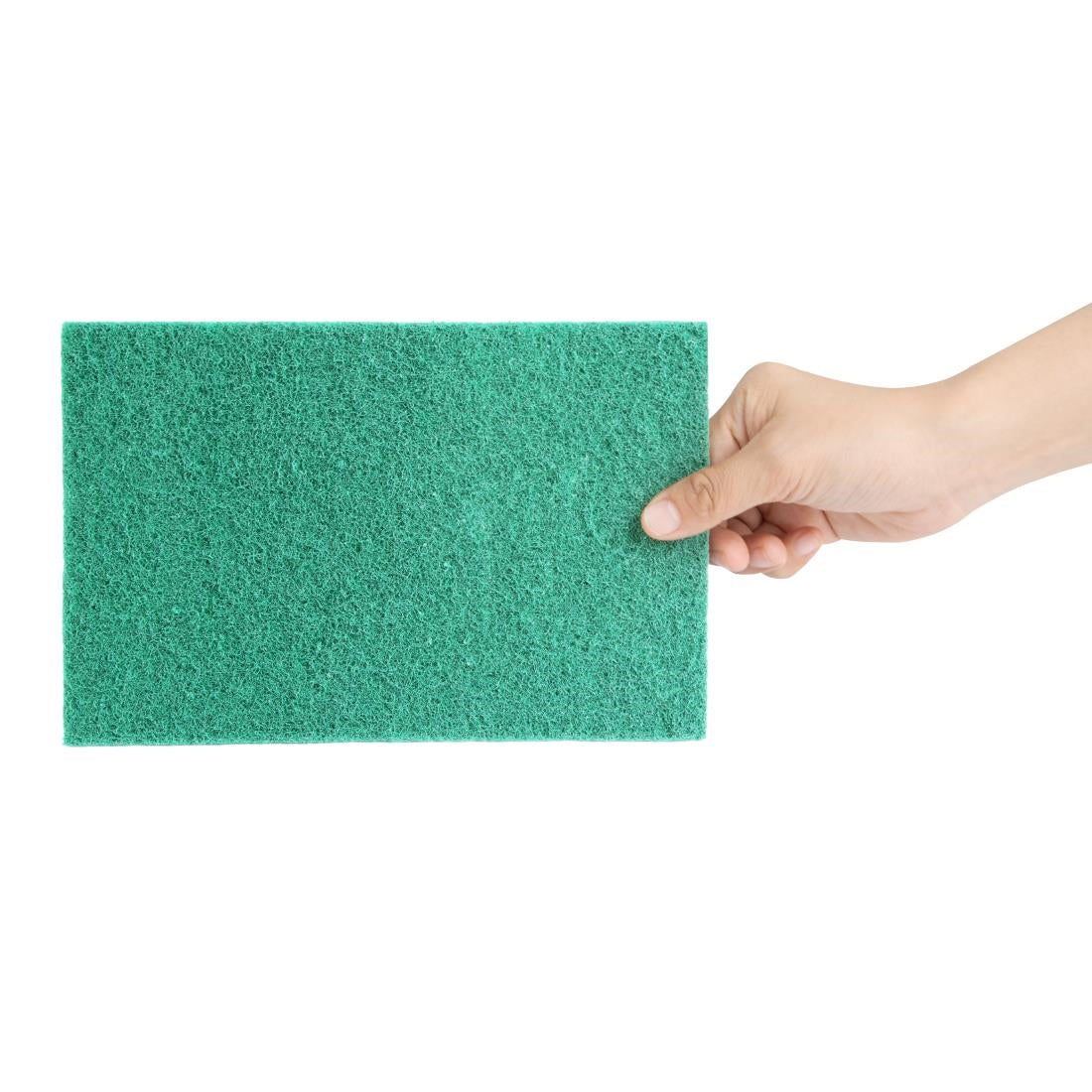 Jantex Green 100% Recycled Scouring Pads 228x152mm (10 pack) - HW010
