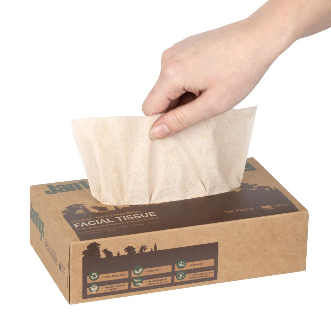 Jantex Green 100% Recycled Facial Tissues 100 Sheets (36 Pack) - HW715