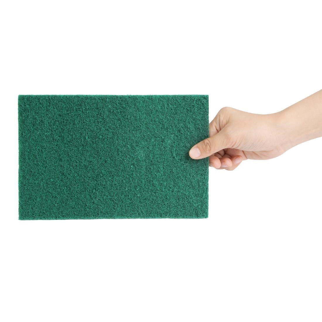 Jantex Green Scourer Pads Large (10 Pack) - HX233