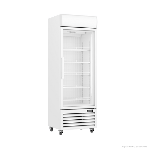 Thermaster 400L Upright Single Glass Door Freezer – LG-400PF