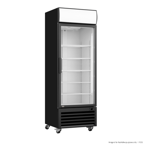 2NDs: Thermaster Single Glass Door Black Colourbond Upright Drink Fridge - LG-540BP-QLD210