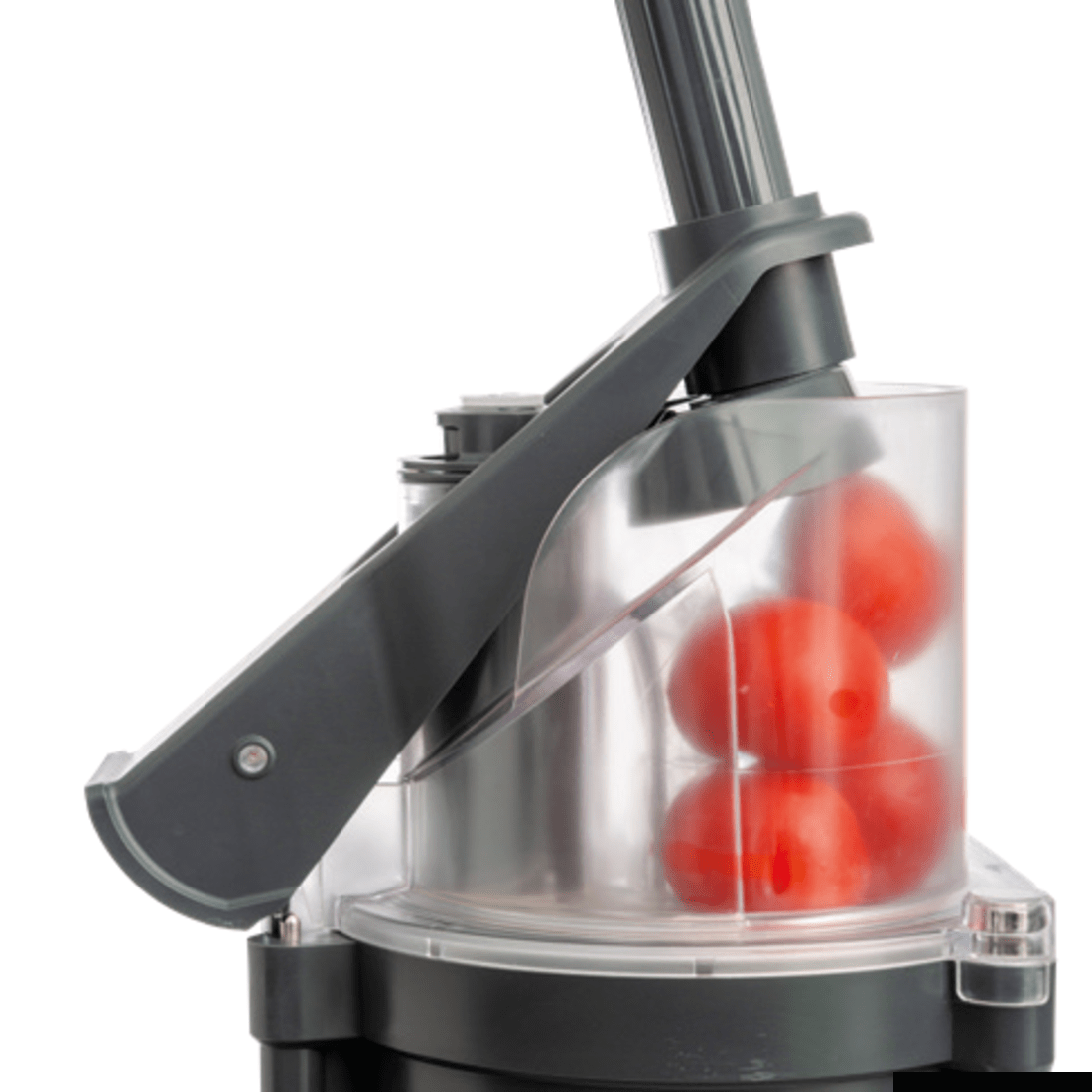 Dito Sama Dito Sama Prep4You Combination Cutter/Slicer 1 Speed 2.6L Copolyester Bowl P4U-PS201