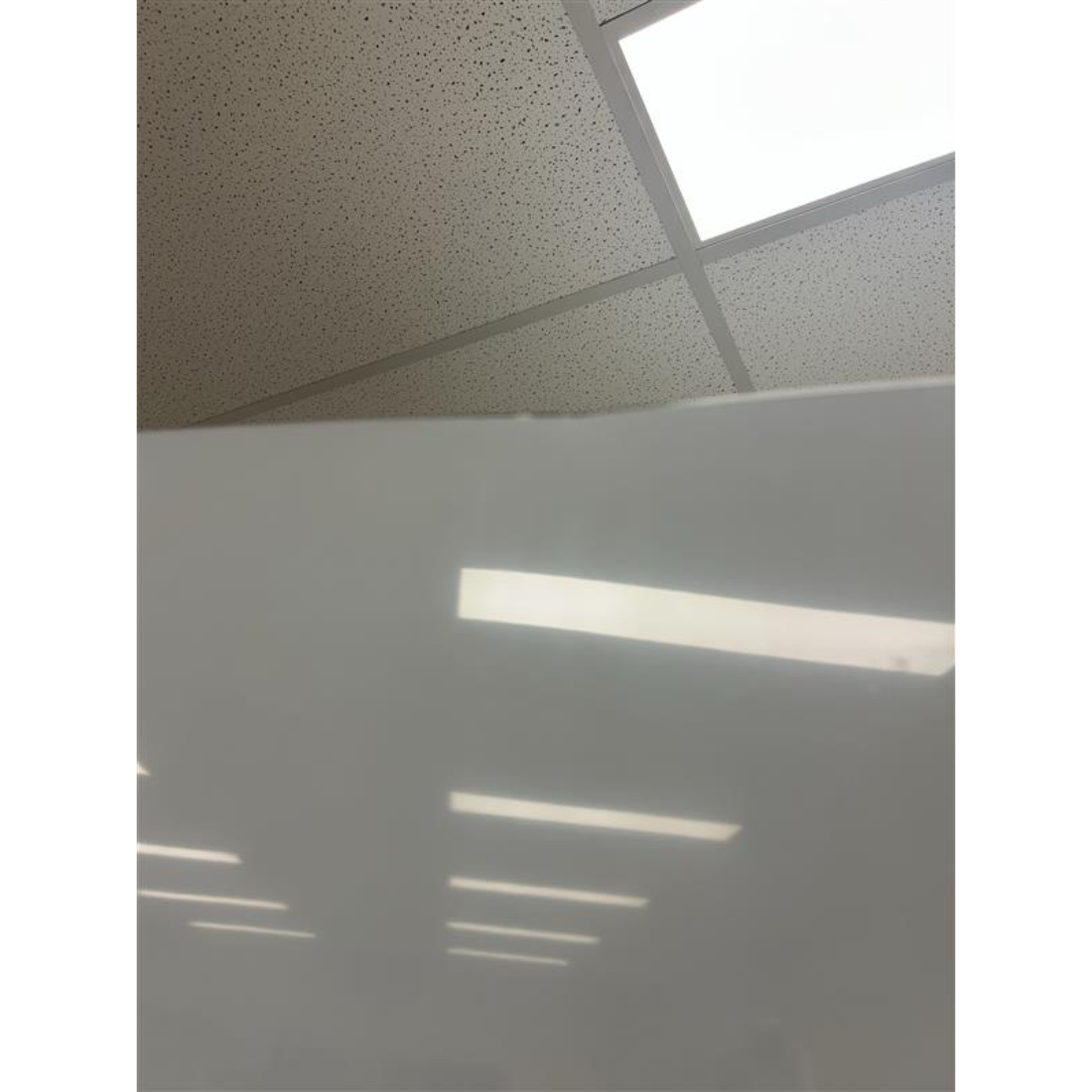 CLEARANCE - FED-X S/S Single Door Upright Freezer - XURF650SFV-QLD148
