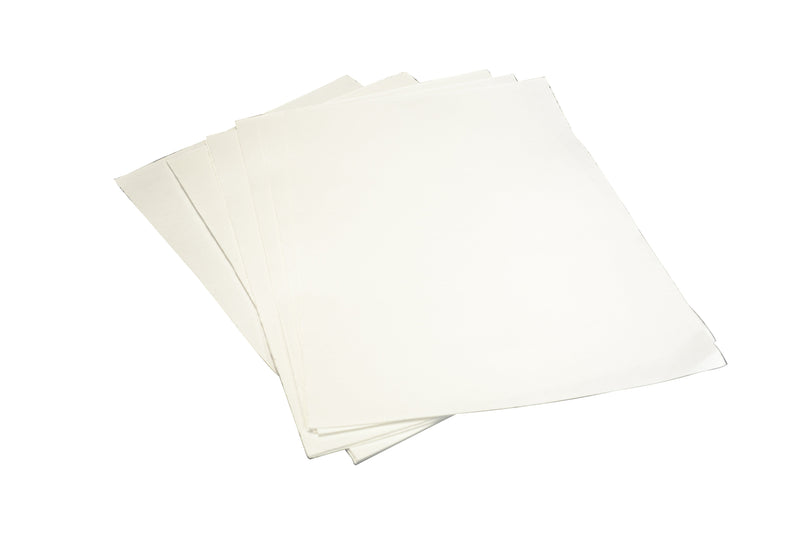 FryMAX Loaded Filter Sheets Pack Of 100 AF-FEDLG20