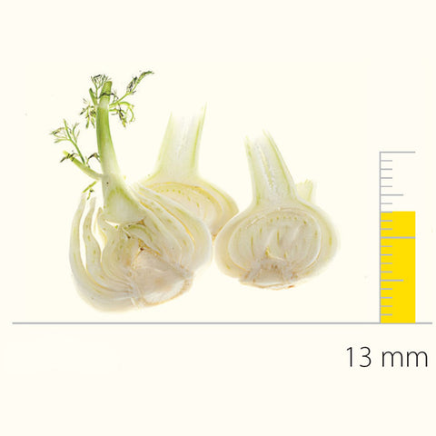 F.E.D Stainless Steel Pressing/Slicing Disc With S-Blades (Balanced) 13 Mm DS650165