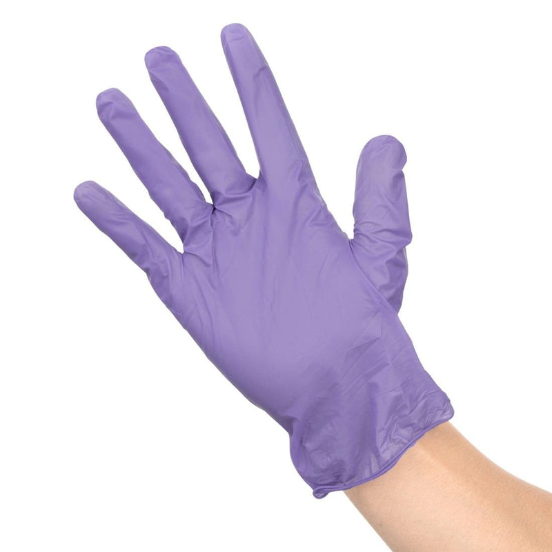 Hygiplas Vinyl Purple Powder Free Glove L - pack 100